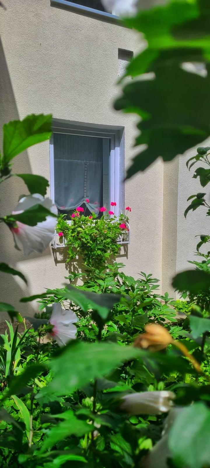 Anna'S Guesthouse Cluj-Napoca Ngoại thất bức ảnh