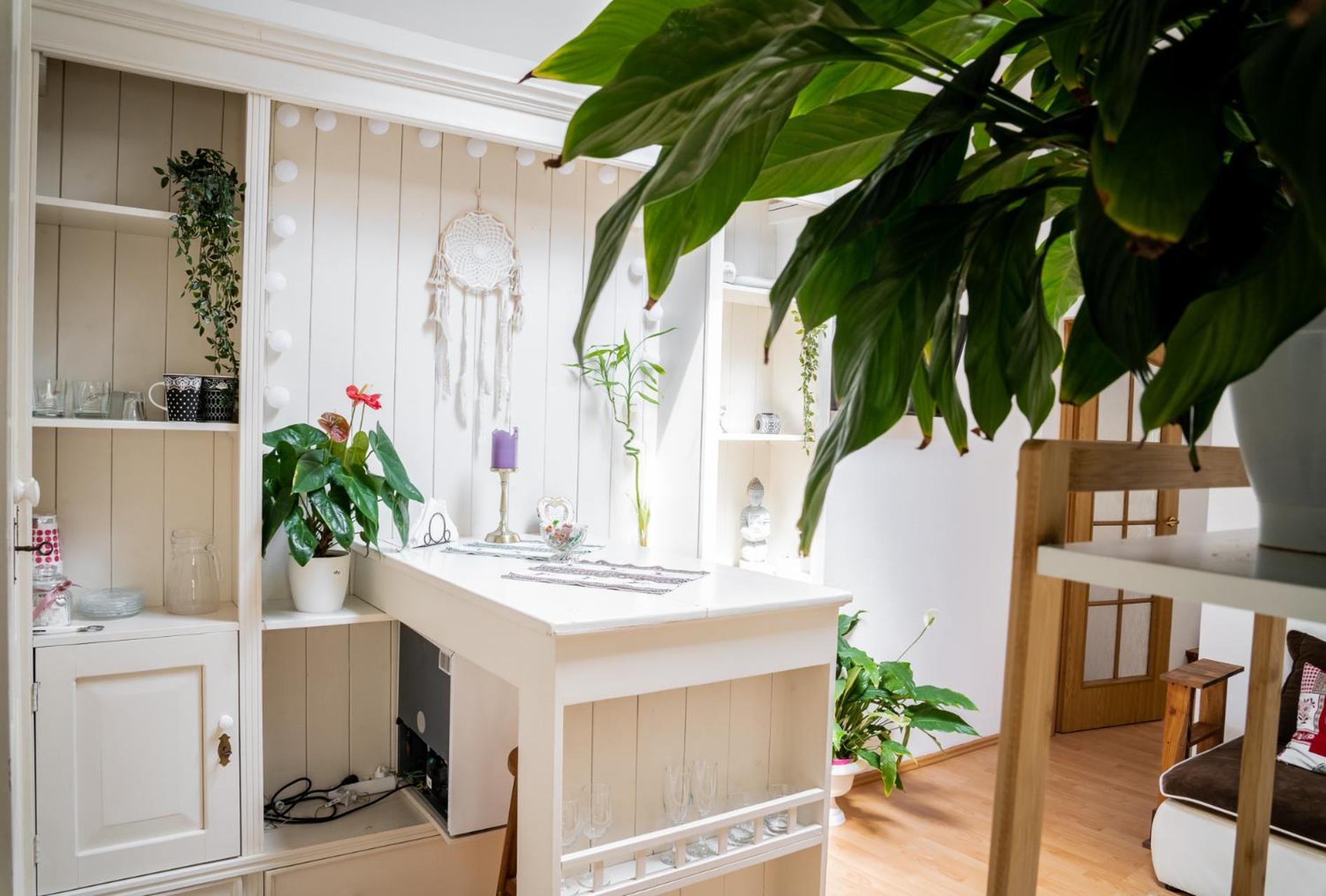 Anna'S Guesthouse Cluj-Napoca Ngoại thất bức ảnh