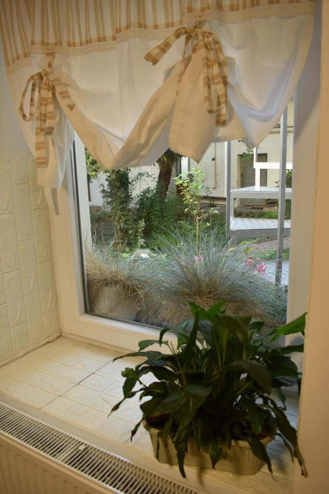 Anna'S Guesthouse Cluj-Napoca Ngoại thất bức ảnh