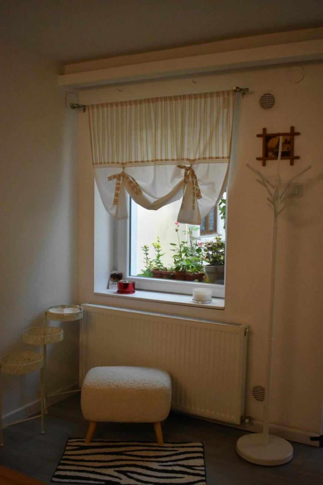 Anna'S Guesthouse Cluj-Napoca Ngoại thất bức ảnh